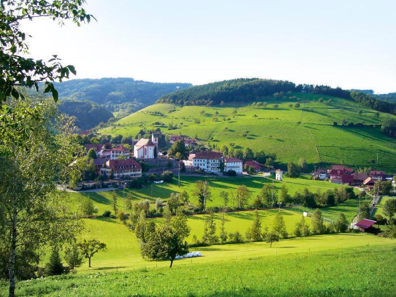 Gasthaus Zum Wilden Mann Welschensteinach Екстериор снимка